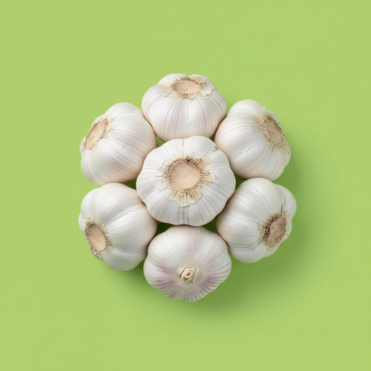 ニンニク / Garlic